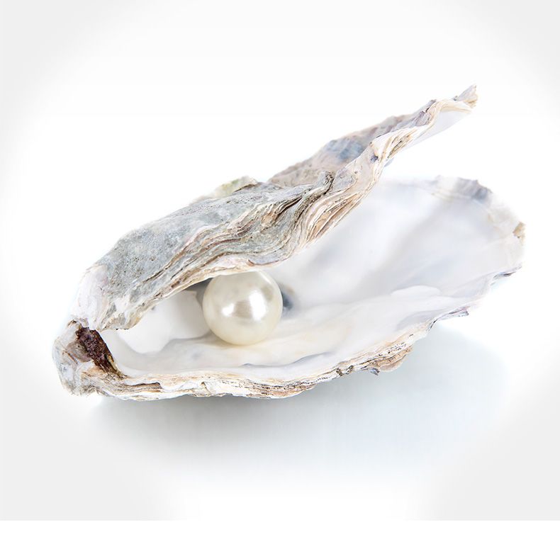 whatsapp bild 2025 09 11 um 11.08.36 923733fa whatsapp bild 2025 09 11 um 11.08.36 923733fa